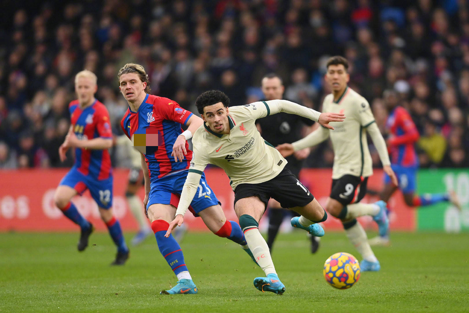 长期面对的 长期面对的